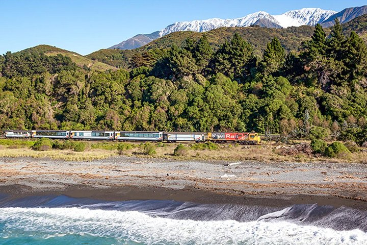 3 Day Kaikoura Sealife and Coach Tour from Christchurch - Photo 1 of 9